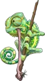 Chameleon vert