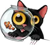 Chat aquarium