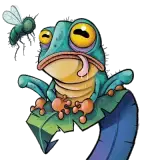 Grenouille Mouche